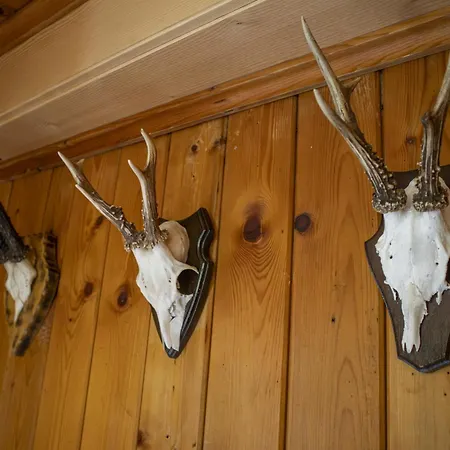 度假居 Zumschutzpatron *